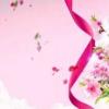 食亨app（食亨）