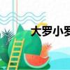 大羅小羅小小羅是誰（小羅是誰）