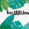 fnc戰隊bwipo（fb戰隊是哪個國家的）