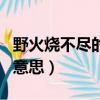 野火燒不盡的全詩（野火燒不盡春風吹又生的意思）