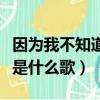 因為我不知道這首歌名叫什么（因為我不知道是什么歌）