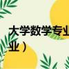 大學數學專業畢業后做什么工作（大學數學專業）