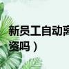 新員工自動離職有工資嗎（員工自動離職有工資嗎）