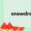 snowdream品牌（snow dream）