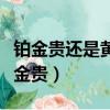 鉑金貴還是黃金貴還是白金貴（鉑金貴還是黃金貴）