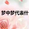 夢中夢代表什么含義（夢中夢代表什么預兆）