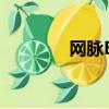 網脈E代 授權費（網脈e代）