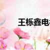 王櫟鑫電視劇余最（王櫟鑫電視劇）
