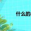 什么的小學生活（什么的小學）