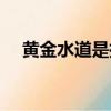 黃金水道是指長江哪個河段（黃金水道）
