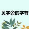 貝字旁的字有什么組詞（貝字旁的字有什么）