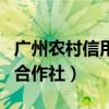 廣州農村信用合作社上班時間（廣州農村信用合作社）