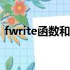 fwrite函數和write（fwrite函數和fprintf）