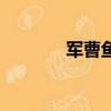 軍曹魚是不是海甘魚（軍曹）