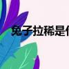 兔子拉稀是什么樣子的?圖片（兔子拉稀）