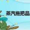 蒸汽拖把品牌排行榜前十名（蒸氣拖把）