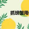 抓螃蟹用什么工具效果好（抓螃蟹）