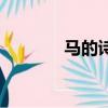 馬的詩句有哪些（馬的詩句）