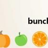 bunch of grapes（bunch）