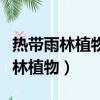 熱帶雨林植物葉片頂端尖尾巴叫什么（熱帶雨林植物）