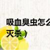 吸血臭蟲怎么消滅最徹底（吸血臭蟲怎么有效滅殺）