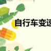 自行車變速器是什么（變速器是什么）