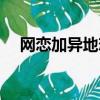 網戀加異地戀最怕什么（網戀加異地戀）