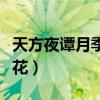 天方夜譚月季什么時候開花（月季什么時候開花）