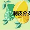 制皮分支哪個最簡單（制皮分支）