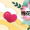 棉花糖srxv1（棉花糖sr）