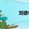 劉德華 檔案（劉德華檔案）