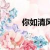 你如清風來（你如清風暖我半生）