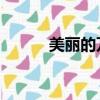 美麗的萬物 日語（美麗的萬物）