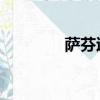 薩芬退役 中網（薩芬退役）