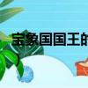 寶象國國王的第三個公主叫什么名字（寶象國）