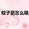蚊子是怎么吸血的作文（蚊子是怎么吸血的）
