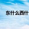 東什么西什么填近義詞（東什么西什么）