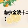 南京金陵十二釵多少錢一包（南京金陵十二釵）