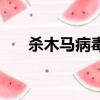 殺木馬病毒的軟件下載（殺木馬軟件）
