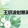 王玥波射雕英雄傳評書（射雕英雄傳評書）