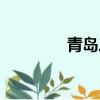 青島三美電子（三美電子）