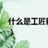 什么是工匠精神論文1000（什么是工匠精神）