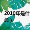 2010年是什么命五行屬什么（2010年是什么命）
