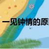 一見鐘情的原因就是我的眼里只有你（一見）