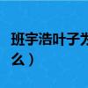 班宇浩葉子為什么分手（班宇浩的快手名叫什么）