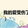 我的愛受傷了是什么歌的歌詞（我的愛受了傷）