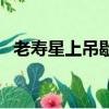 老壽星上吊歇后語下一句是什么（老壽星）