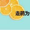 走鵑為什么不怕響尾蛇（走鵑）
