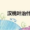 漢桃葉治什么病?（漢桃葉片治什么病）