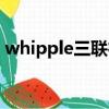whipple三聯征名詞解釋（whipple三聯征）